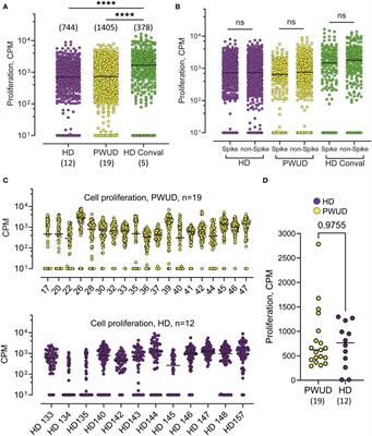 People who use drugs show no increase in pre-existing T-cell cross-reactivity toward SARS-CoV-2 but develop a normal polyfunctional T-cell response after standard mRNA vaccination